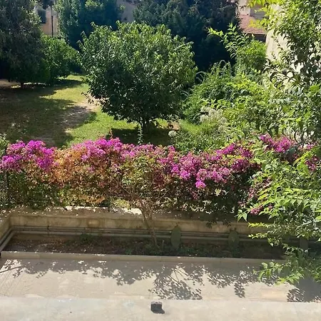 Apartman Palazzo Sonnino Honey Pisa